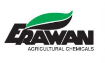 Erawan Logo