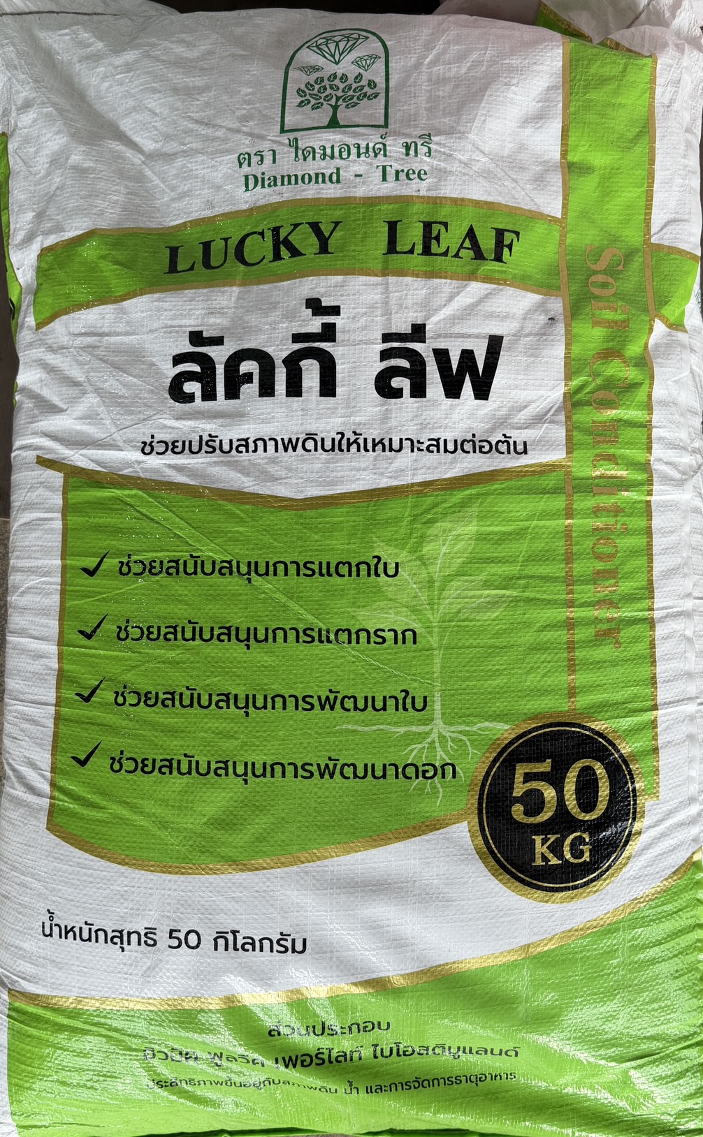 ลัคกี้ ลีฟ 1